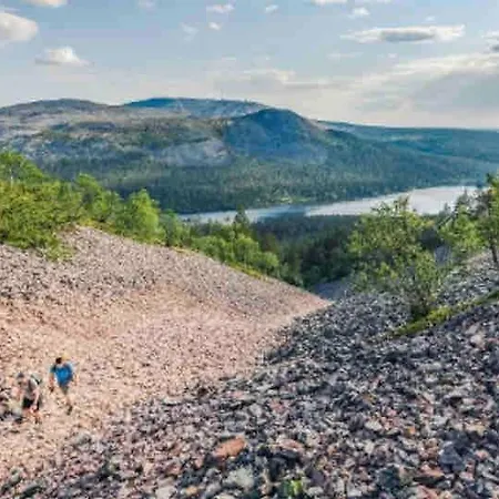 Luxury Log With Hot Tub Villa