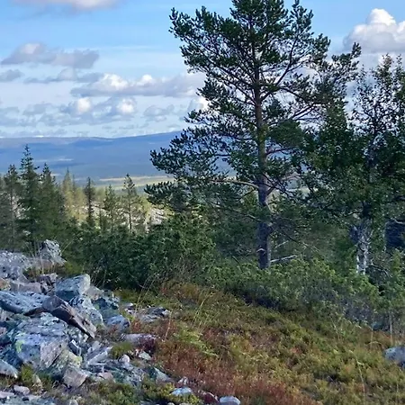 Luxury Log With Hot Tub Ylläsjärvi